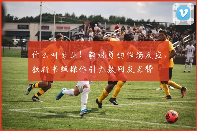 什么叫专业!解说员的临场反应,教科书级操作引无数网友点赞