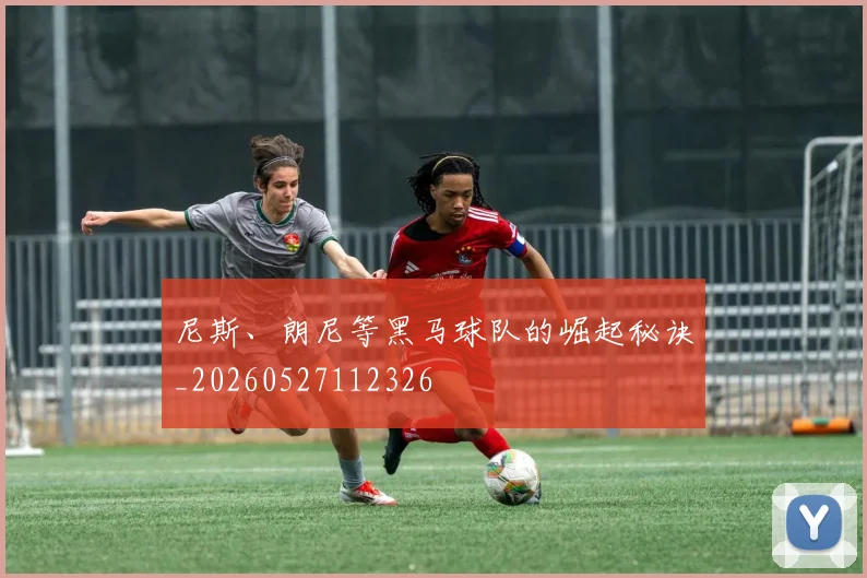 尼斯、朗尼等黑马球队的崛起秘诀_20260527112326